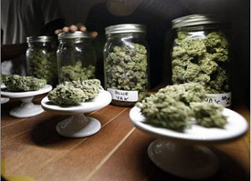 Terpenes:  More than just smell