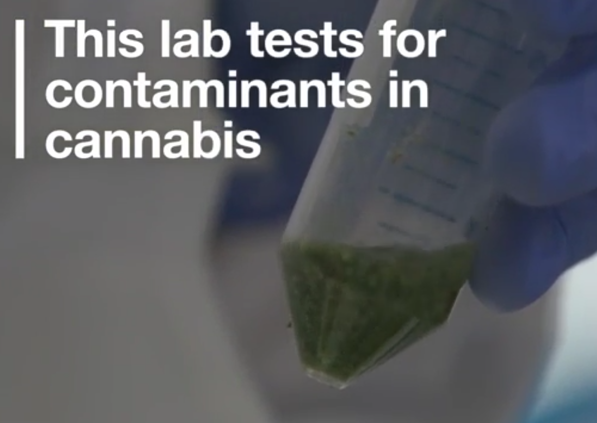Vice explores how ProVerde Labs tests marijuana and hemp for contaminants